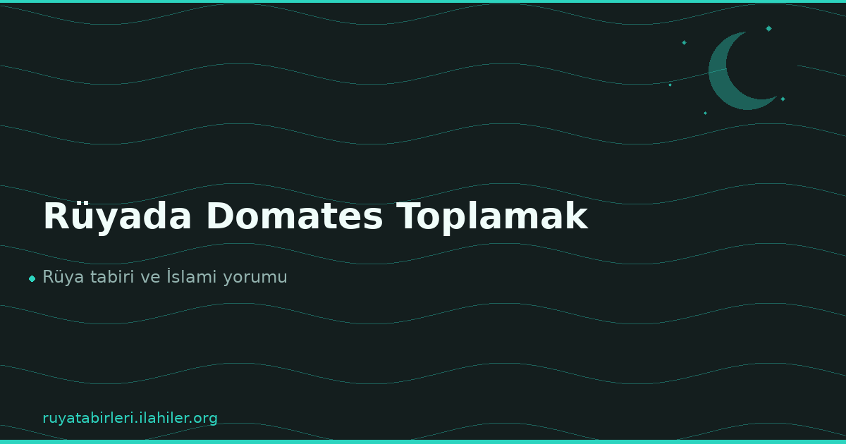 Rüyada Domates Toplamak