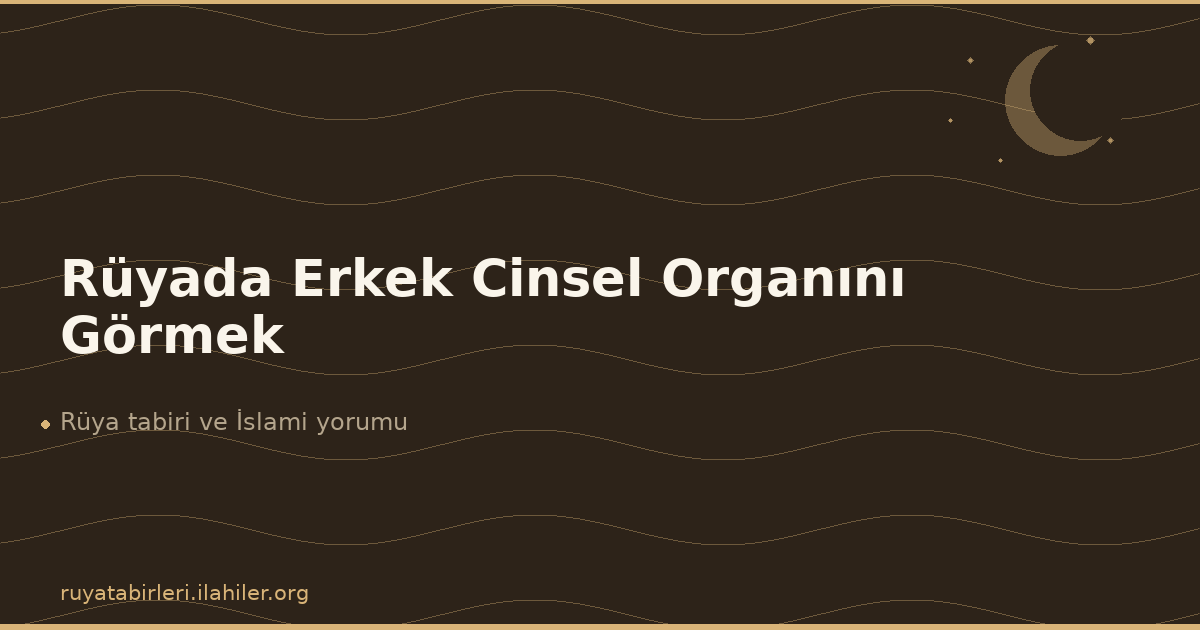 Rüyada Erkek Cinsel Organını Görmek