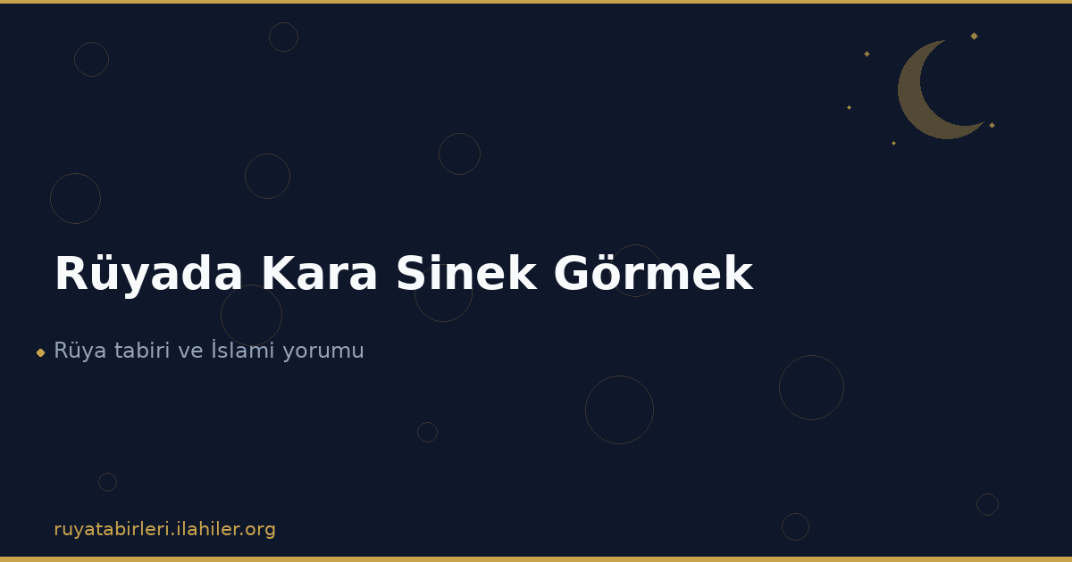 Rüyada Kara Sinek Görmek