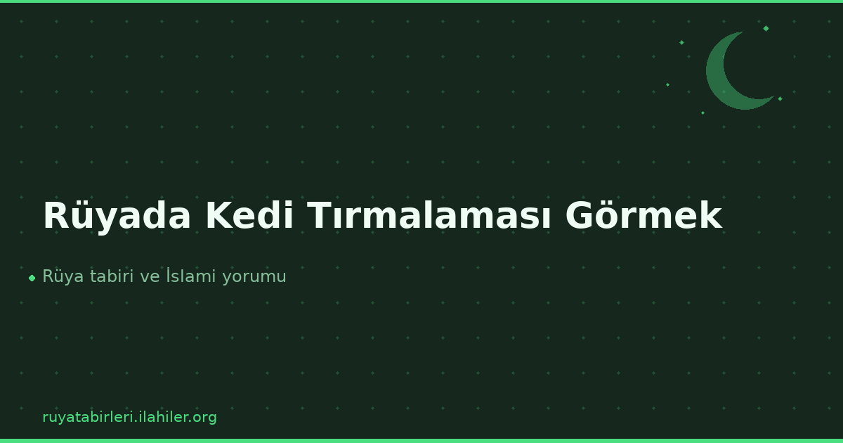 Rüyada Kedi Tırmalaması Görmek