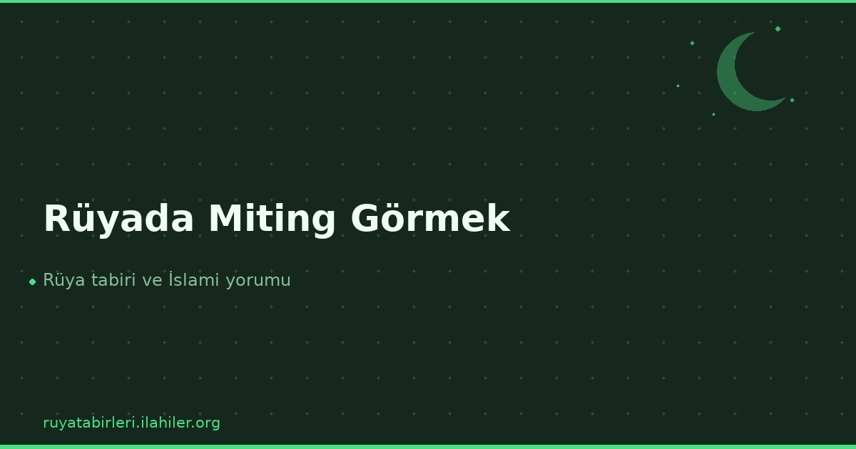 Rüyada Miting Görmek