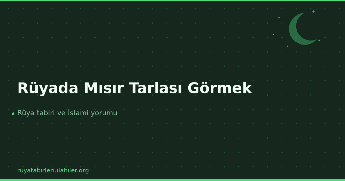 Rüyada Mısır Tarlası Görmek