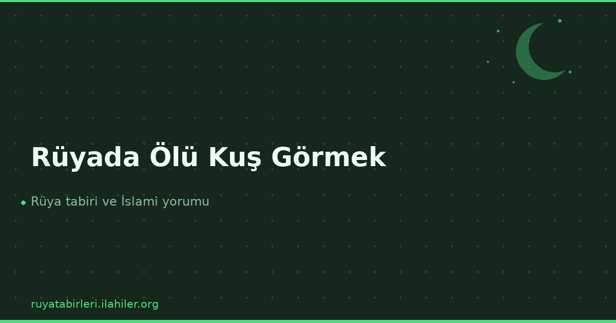 Rüyada Ölü Kuş Görmek